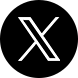 公式X